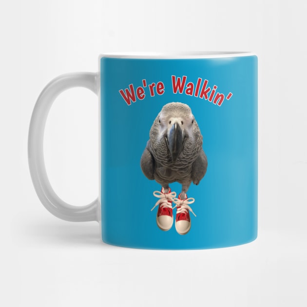 African Grey Parrot Walking Exercise Tennis Shoe by Einstein Parrot